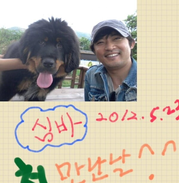 안재욱, 반려견 '심바' 떠나보내…주말 드라마 종영 앞두고 '안타까운 이별'