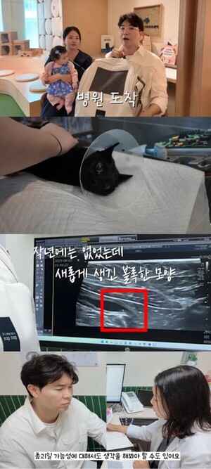 대표 이미지