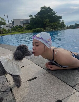 대표 이미지